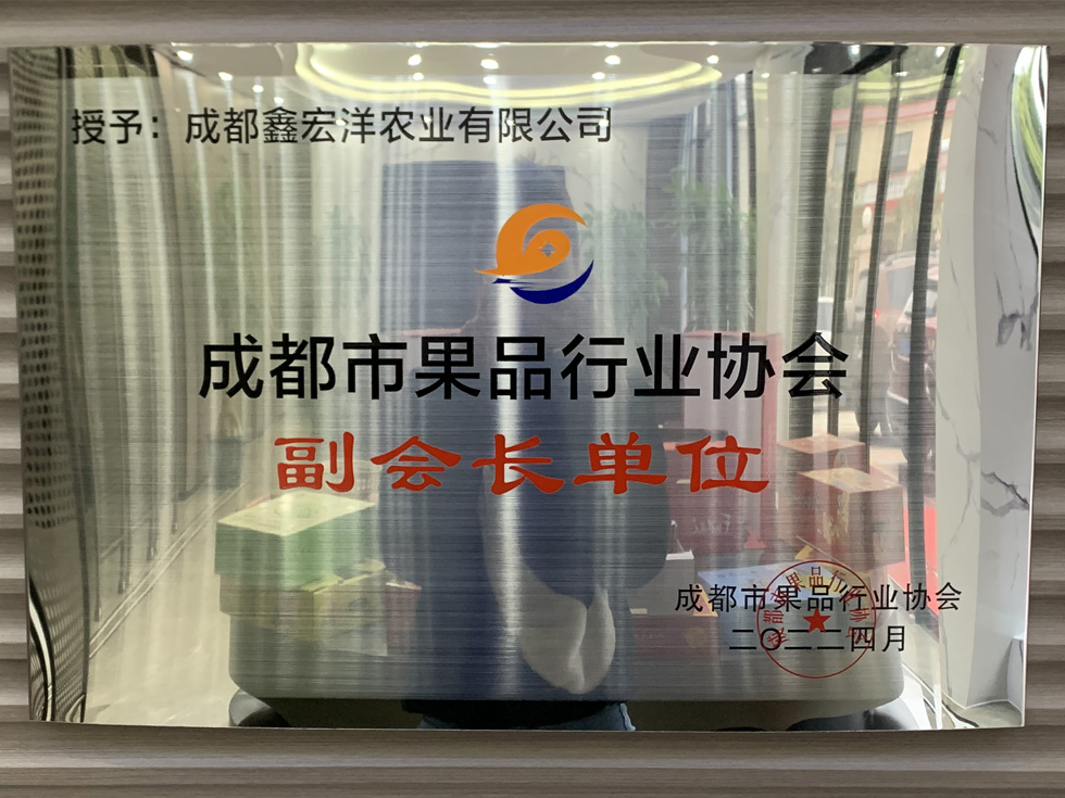 领航国际官方网站图片