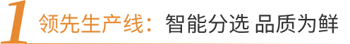 领航国际官方网站图片