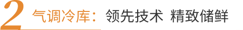 领航国际官方网站图片
