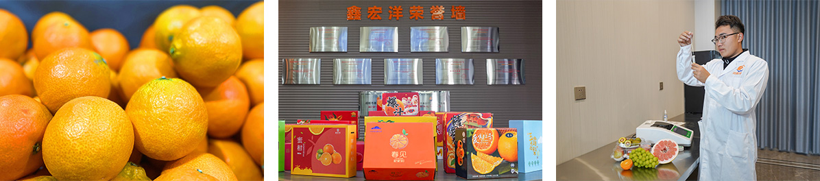 领航国际官方网站图片