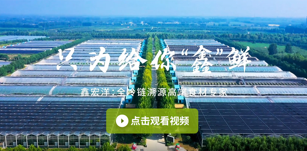 领航国际官方网站图片