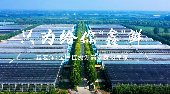 只为给你“鑫”鲜 领航国际首支宣传片正式上线